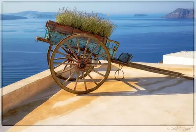 Rustic Carriage on Beach