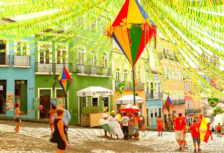 Salvador festival 34 24