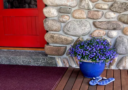 Flowers by door