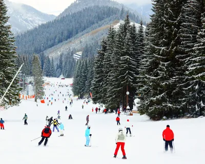 Snowy Mountain Ski Resort