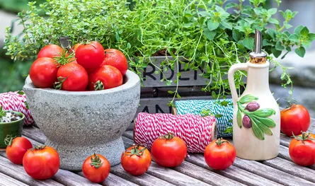 Tomato display with potted plant and wooden handle