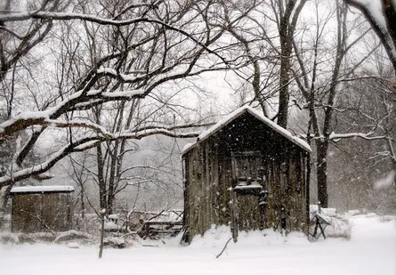 Snow on roof and ground