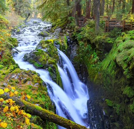 Rushing waterfall