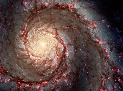 Nebula galaxy starry night sky