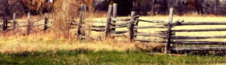 Fence, grass, wood