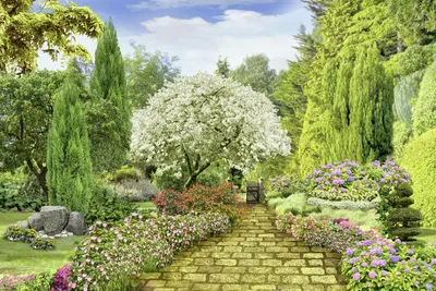 Peaceful Garden Oasis