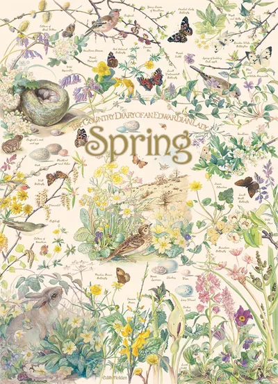 Spring nature illustration collage