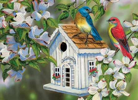 Colorful birds at home