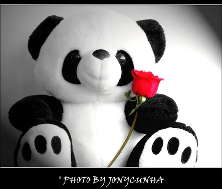 "Panda with flower"