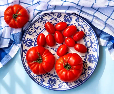 Tomatoes on Plate
