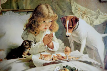 Dog and cat looking at cake