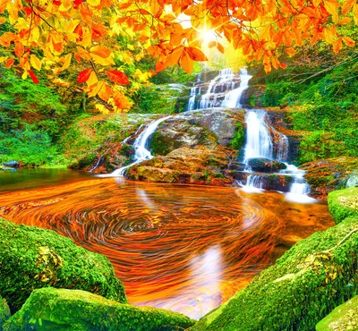 Serene Fall Scenery