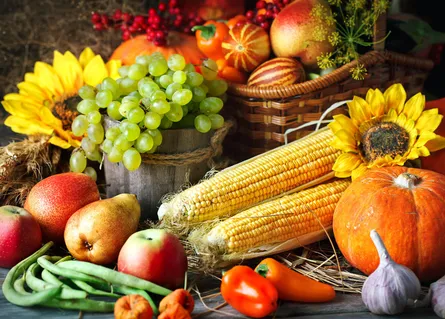 Colorful autumn harvest