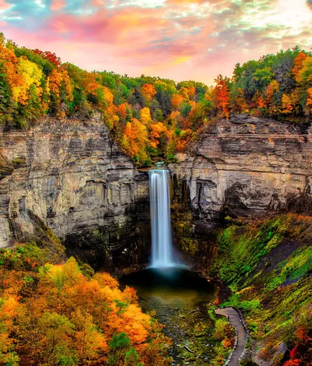 Colorful fall landscape
