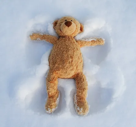 Teddy bear on snow