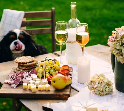 Summer Picnic
