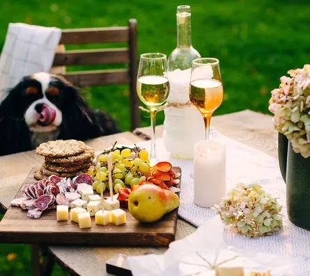 Summer Picnic