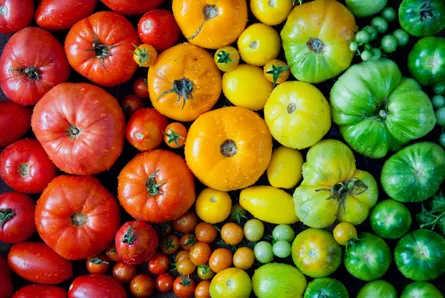 Colorful vegetables grouped together