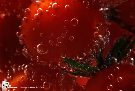 Red tomatoes with bubbles