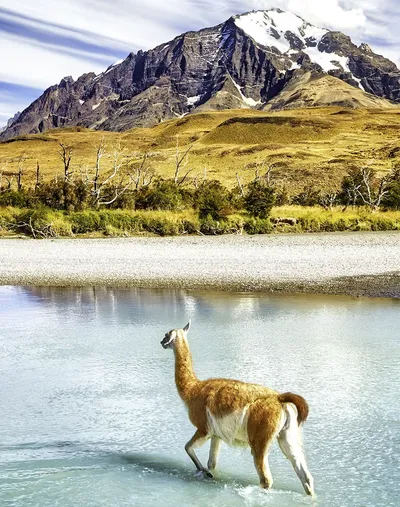 Alpine Adventure