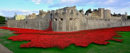 Red maple leaf on ground with castle and sky above