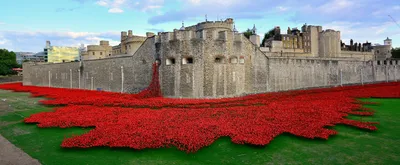 Red maple leaf on ground with castle and sky above