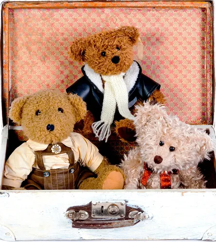 Teddy bears in suitcase