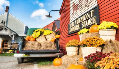 Pumpkins in the Fall