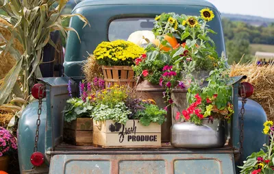 Flower arrangement in truck bed