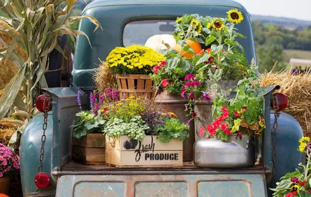 Flower arrangement in truck bed