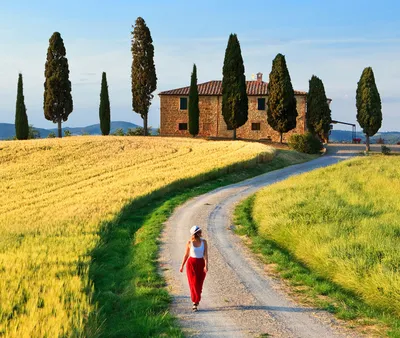 Serene Rural Scene
