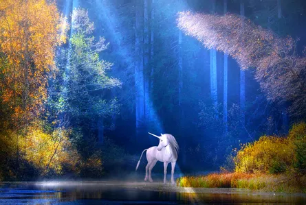 Unicorn Encounter in Forest