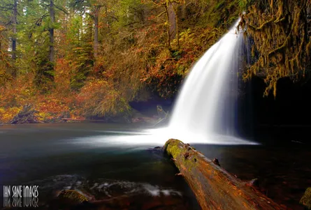 Waterfall in forest