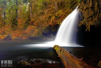 Waterfall in forest