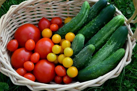 Vegetables in basket