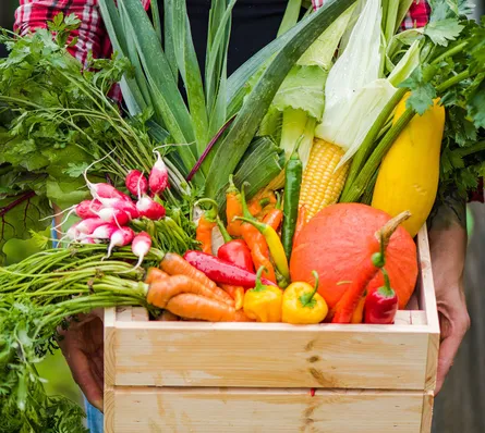 Fresh Vegetables