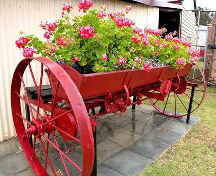 Red wagon with flowers planted on top