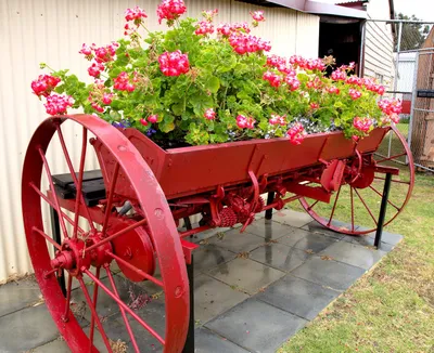Red wagon with flowers planted on top