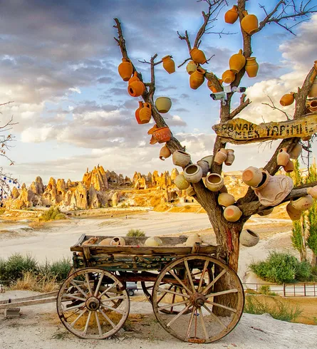 Fruitful Orchard
