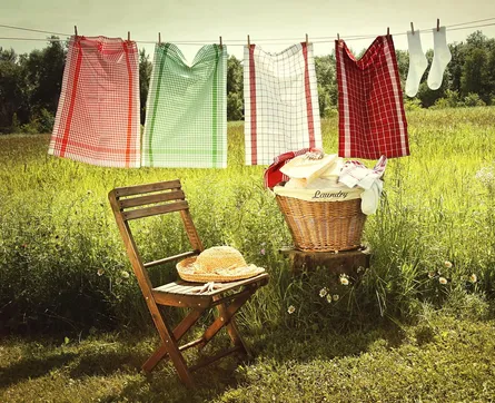 Laundry Day Scene