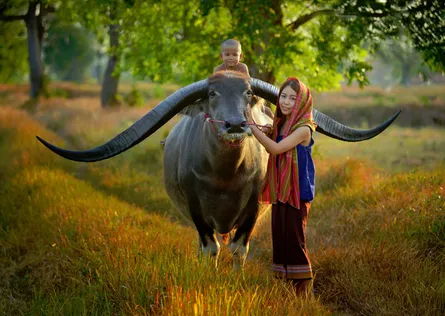 Wilderness Moment