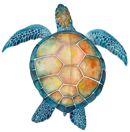 Watercolor turtle 122 115