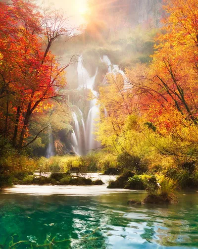 Fall Waterfall Scenic View