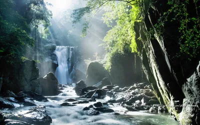 Sunlit rainforest waterfall