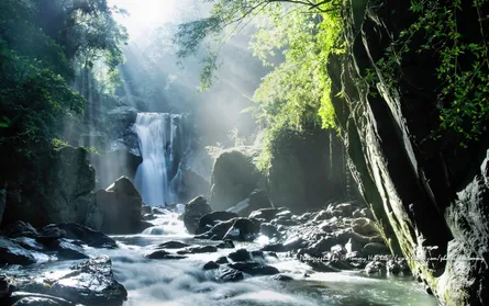 Sunlit rainforest waterfall