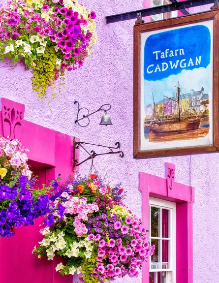 Pink flower pots, pub sign, purple flowers