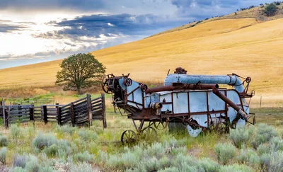 Old Tractor in Field