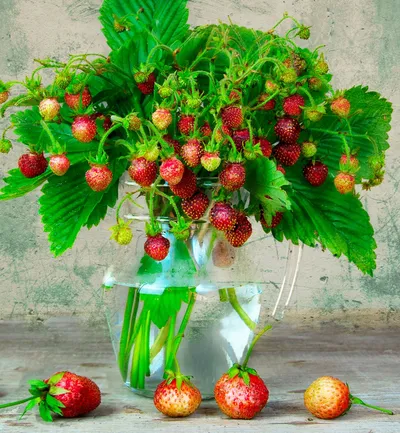 Strawberry Bouquet Display