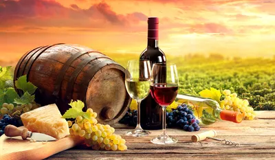 Wine and Grapes Delight