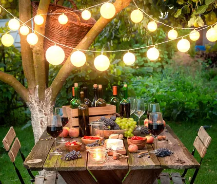Outdoor Picnic Setup